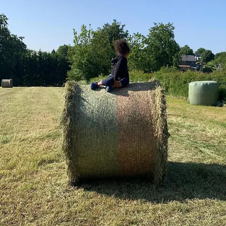 In The Belgian Eifel Casa vacanze *