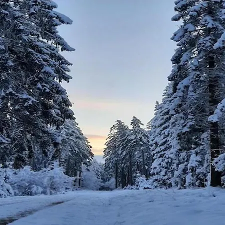 In The Belgian Eifel Bullange/Büllingen