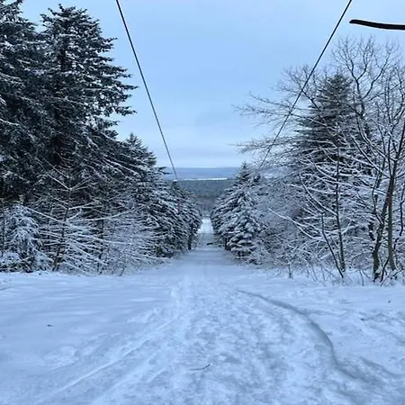 In The Belgian Eifel Bullange