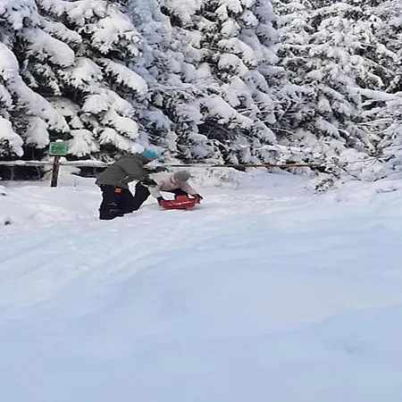 In The Belgian Eifel