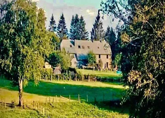 Cozy In Nature Fully Renovated In 2024 Ferienhaus *