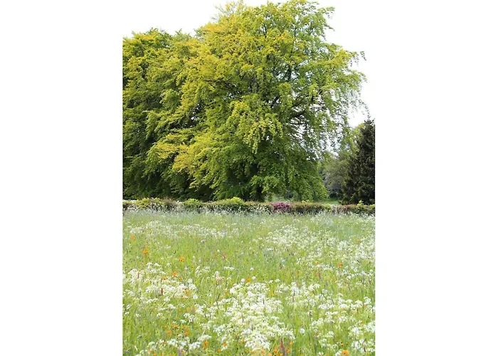 Cozy In Nature Fully Renovated In 2024 *